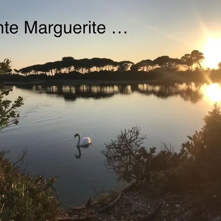 Bel Avec Terrasse, Piscine, Parking Privé Et Club De Tennis, Padel En Sus Antibes